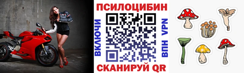 Купить закладки  Мариинский Посад  Галлюциногенные грибы Psilocybe 